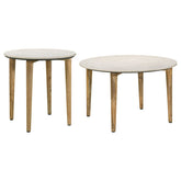 Aldis 2-piece Coffee and End Table Set White
